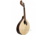 APC GF312LS lateral APC GF312LS lateral